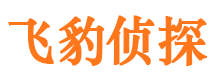 西陵外遇出轨调查取证